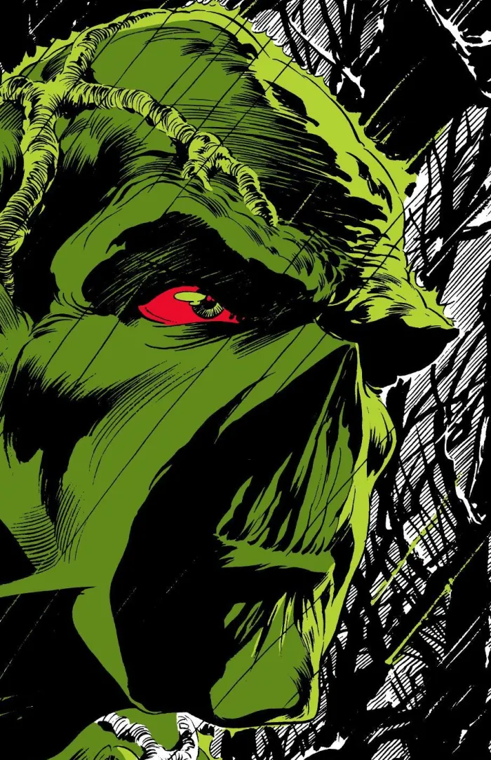 Absolute Swamp Thing by Len Wein and Bernie Wrightson