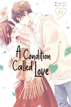 A Condition of Love Vol. 13