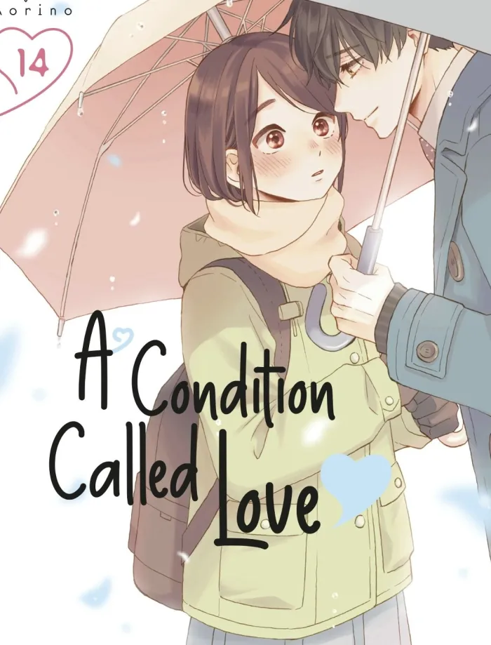 A Condition of Love Vol. 14