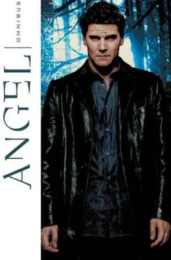 Angel Omnibus