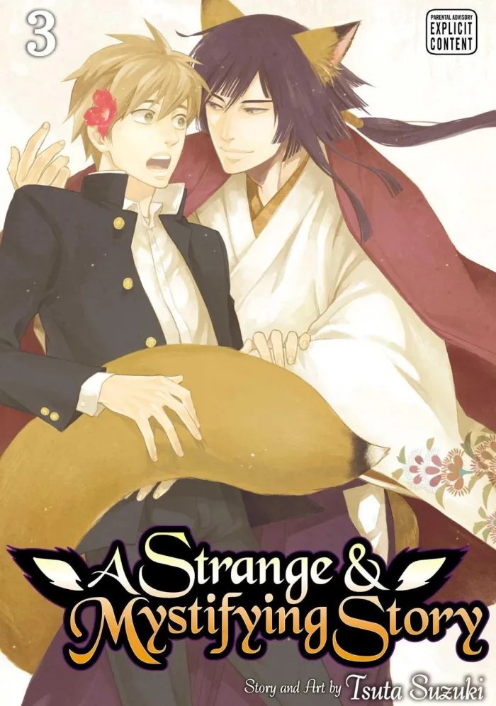 A Strange & Mystifying Story, Vol. 3: Volume 3