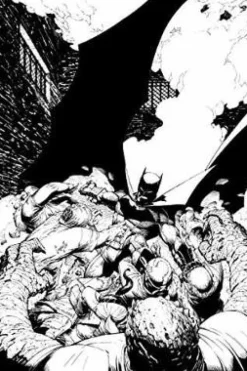 Batman In The Court Of Owls An Adult Coloring Book