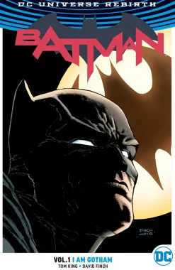 Batman Vol. 1: I Am Gotham: (2024 Edition)