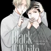 Black or White, Vol. 11: Volume 11