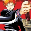 Bleach (3-in-1 Edition) Includes vols. 1, 2 & 3: Volume 1
