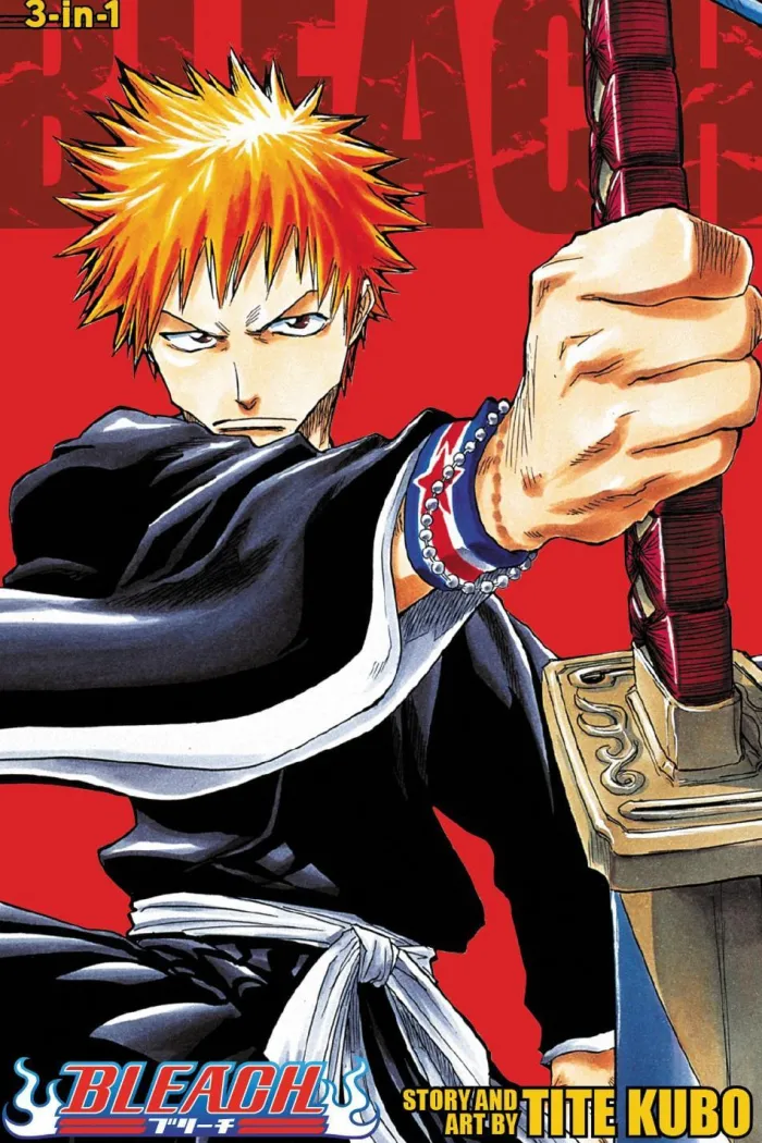 Bleach (3-in-1 Edition) Includes vols. 1, 2 & 3: Volume 1