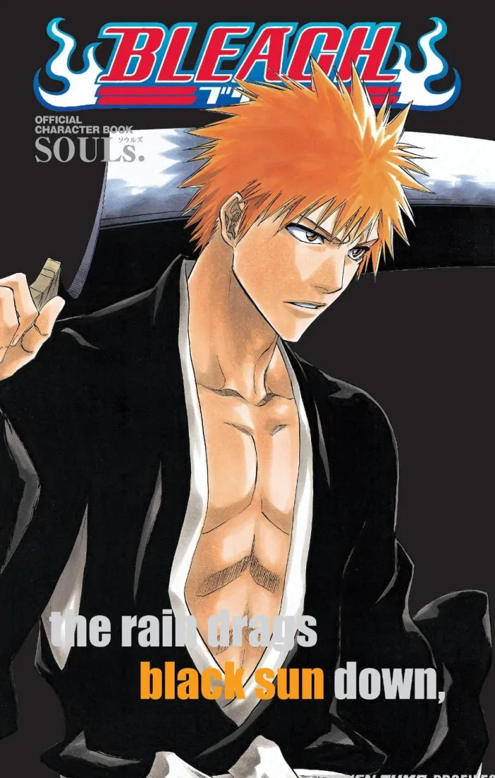 Bleach SOULs. Official Character Book