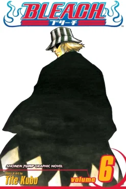 Bleach, Vol. 6