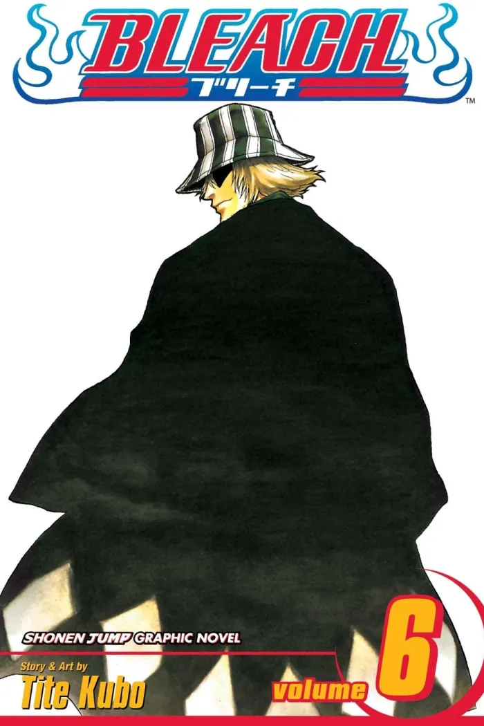 Bleach, Vol. 6