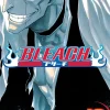 Bleach, Vol. 13