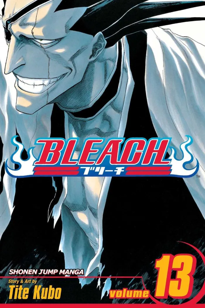 Bleach, Vol. 13