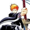 Bleach, Vol. 1
