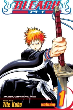 Bleach, Vol. 1