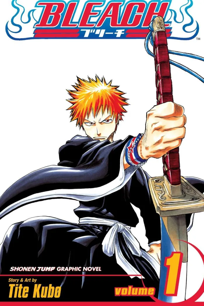 Bleach, Vol. 1
