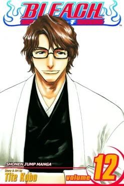 Bleach, Vol. 12