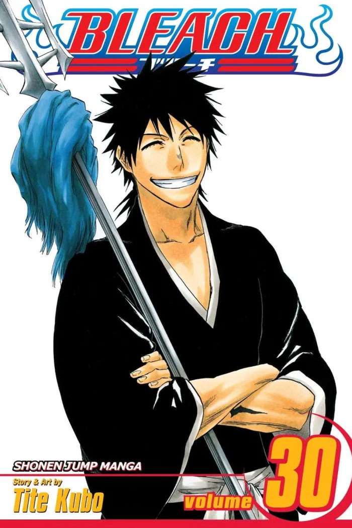 Bleach, Vol. 30
