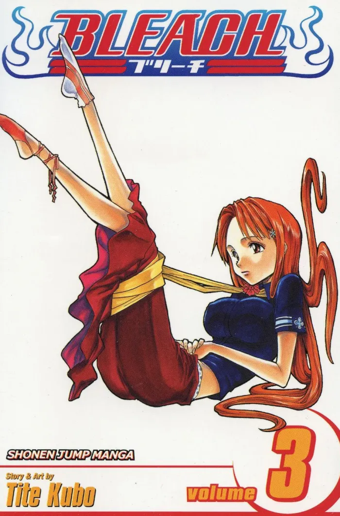 Bleach, Vol. 3