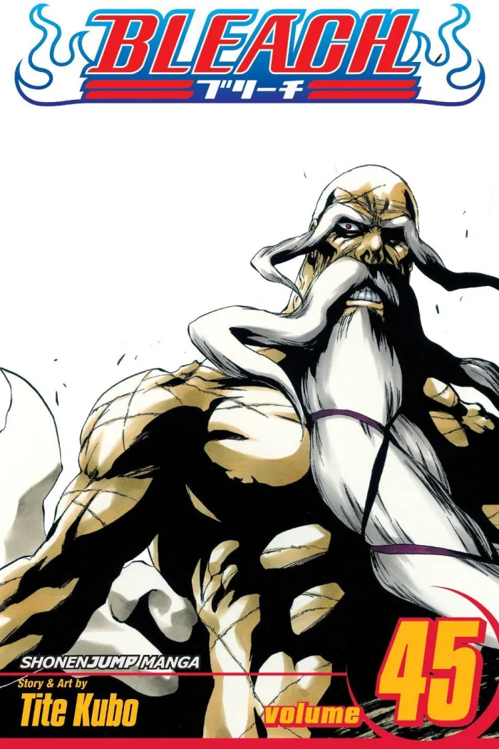 Bleach, Vol. 45