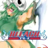 Bleach, Vol. 34