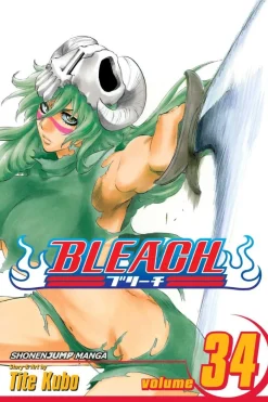 Bleach, Vol. 34