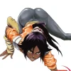 Bleach, Vol. 17