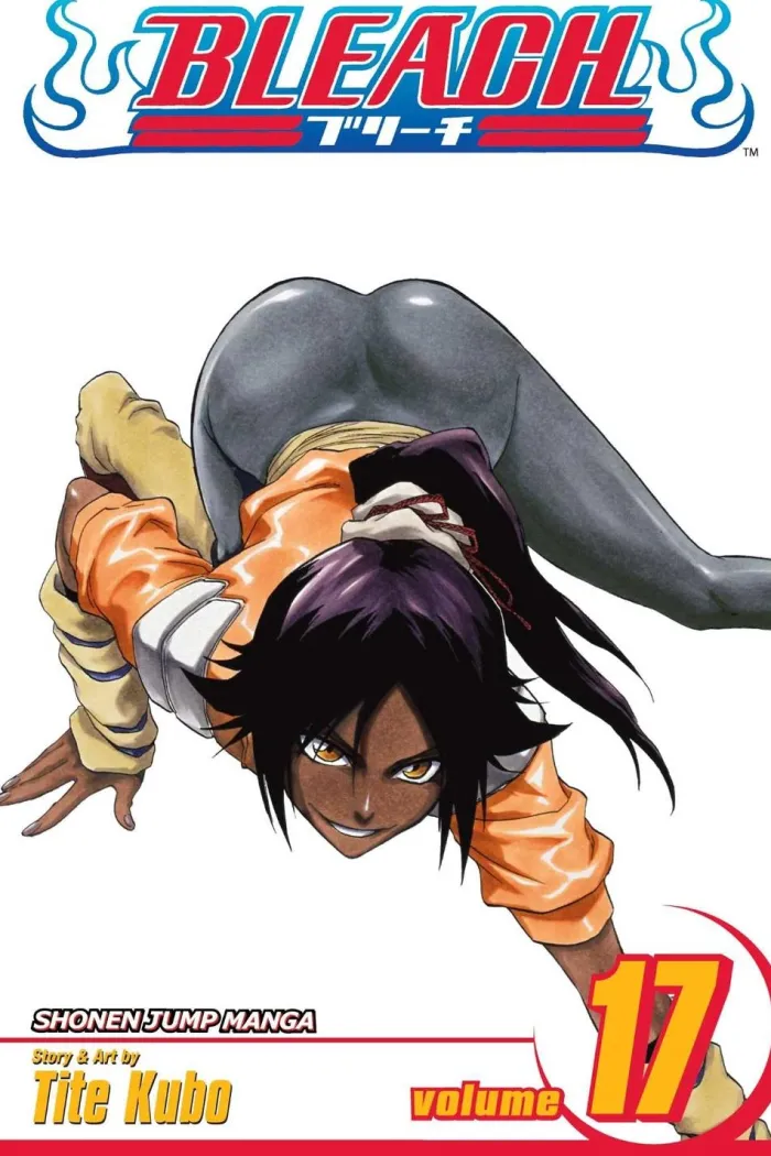 Bleach, Vol. 17