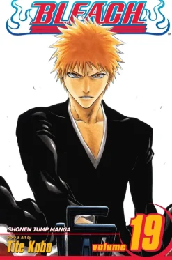 Bleach, Vol. 19