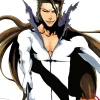Bleach, Vol. 48