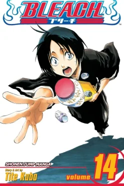 Bleach, Vol. 14