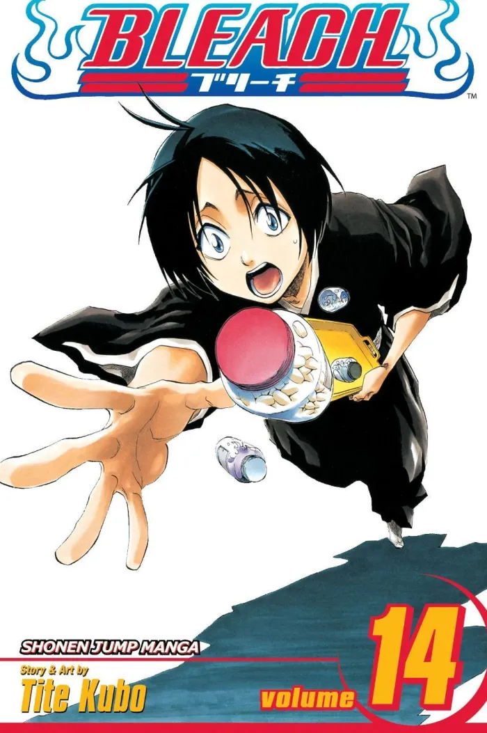 Bleach, Vol. 14