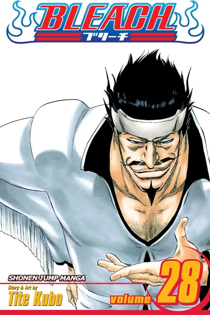 Bleach, Vol. 28