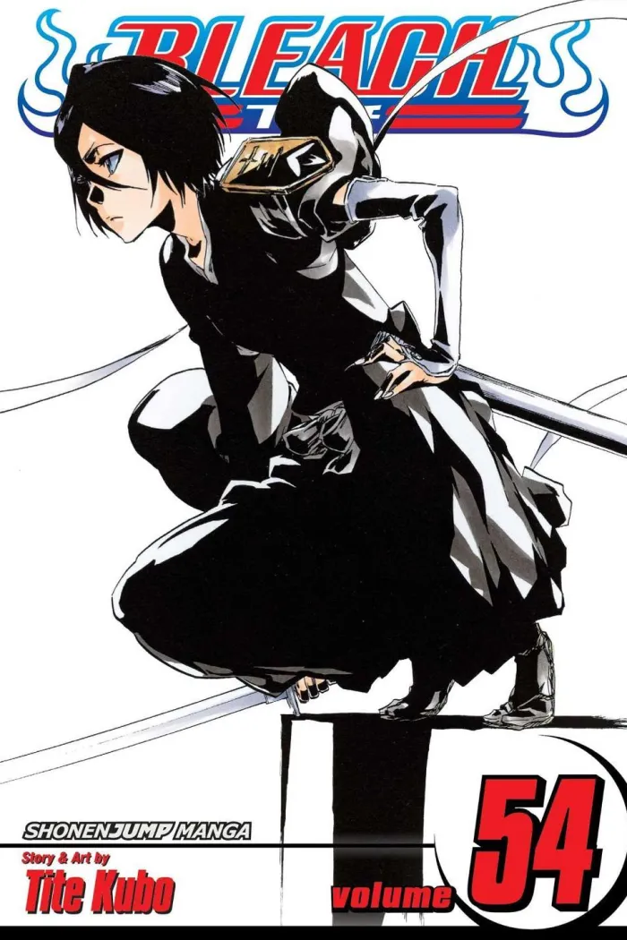 Bleach, Vol. 54