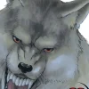 Bleach, Vol. 62