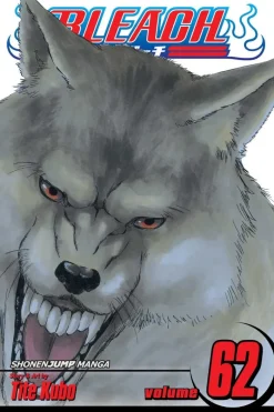 Bleach, Vol. 62