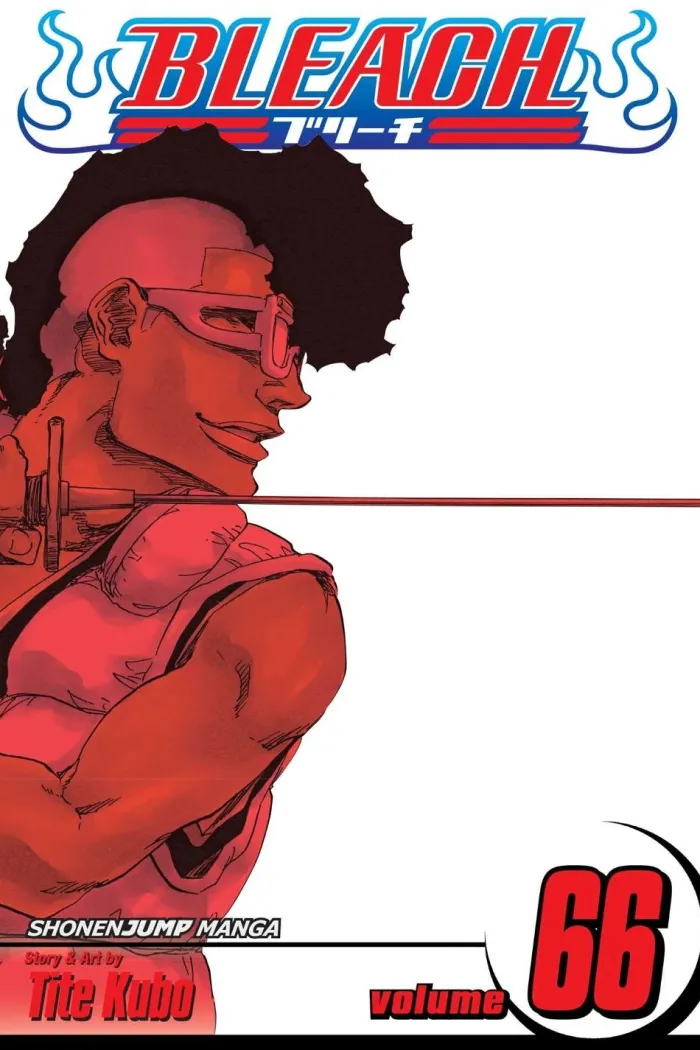 Bleach, Vol. 66