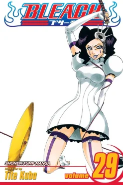 Bleach, Vol. 29: Volume 29