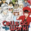 (coll 4-6)