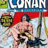 Conan The Barbarian: The Original Comics Omnibus Vol.4