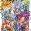 Dragon Ball Super, Vol. 24