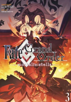 Fate/Grand Order -mortalis:stella- 3