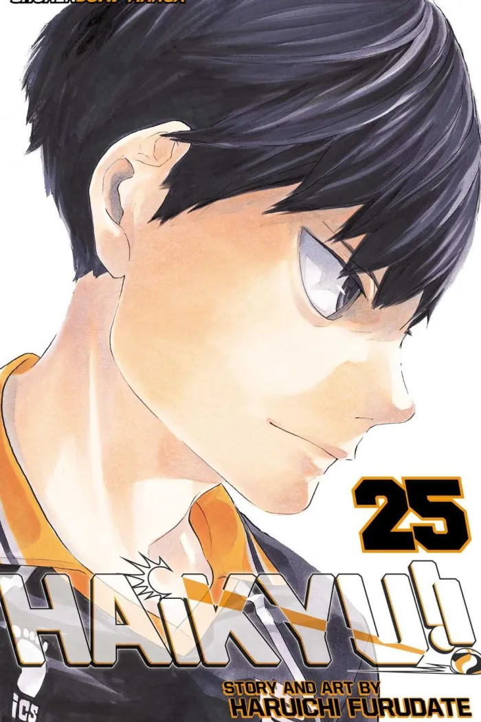 Haikyu!!, Vol. 25