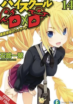 High School Dxd Sc Vol. 14 (Light Novel)