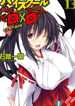 High School Dxd Sc Vol. 13 (Novel)