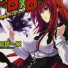 High School DxD, Vol. 10 (light novel)