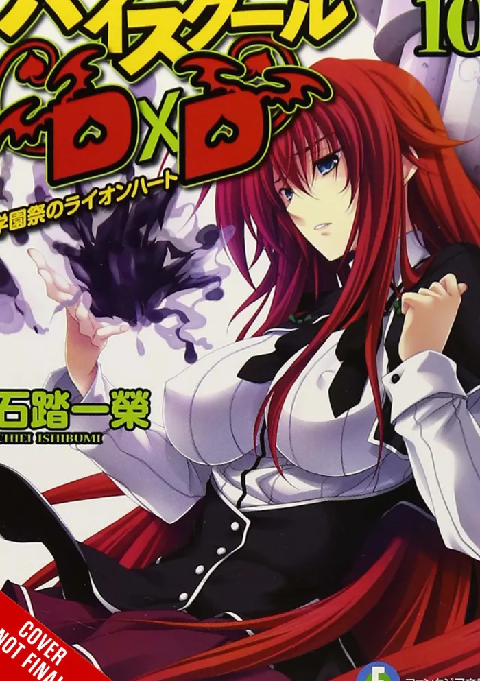 High School DxD, Vol. 10 (light novel)