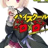 High School DxD, Vol. 16 (light novel)
