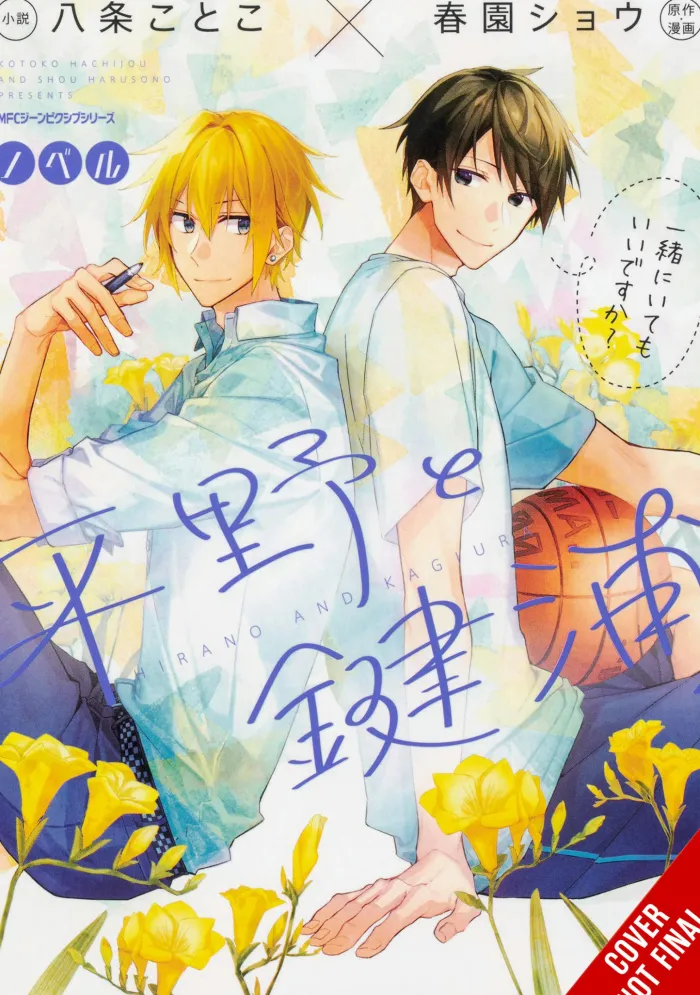 Hirano and Kagiura (novel)
