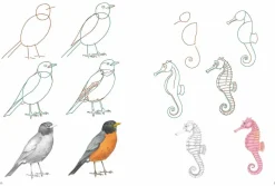 How to Draw: Nature: In Simple Steps