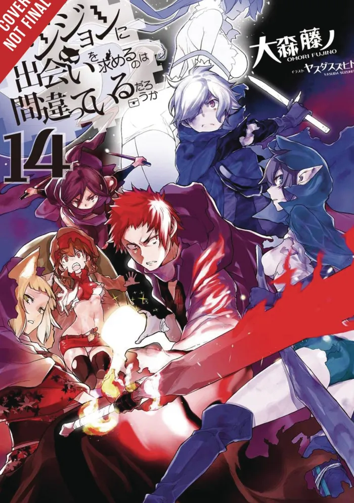 Is It Wrong to Try to Pick Up Girls in a Dungeon?, Vol. 14 (light novel)