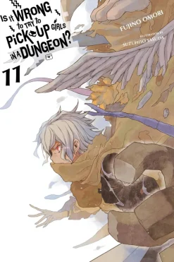 Is It Wrong to Try to Pick Up Girls in a Dungeon?, Vol. 11 (light novel)
